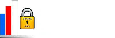 DataSoftNow logo
