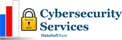 DataSoftNow logo